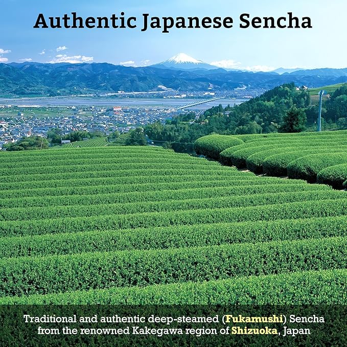 SUGIMOTO TEA Japanese Sencha Green Tea Bags 20 Count Pack of 3