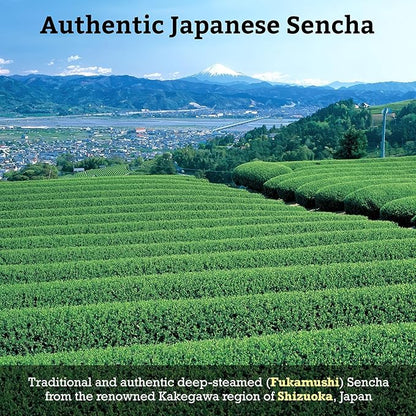 SUGIMOTO TEA Japanese Sencha Green Tea Bags 20 Count Pack of 3