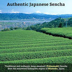 Load image into Gallery viewer, SUGIMOTO TEA Japanese Sencha Green Tea Bags 20 Count Pack of 1