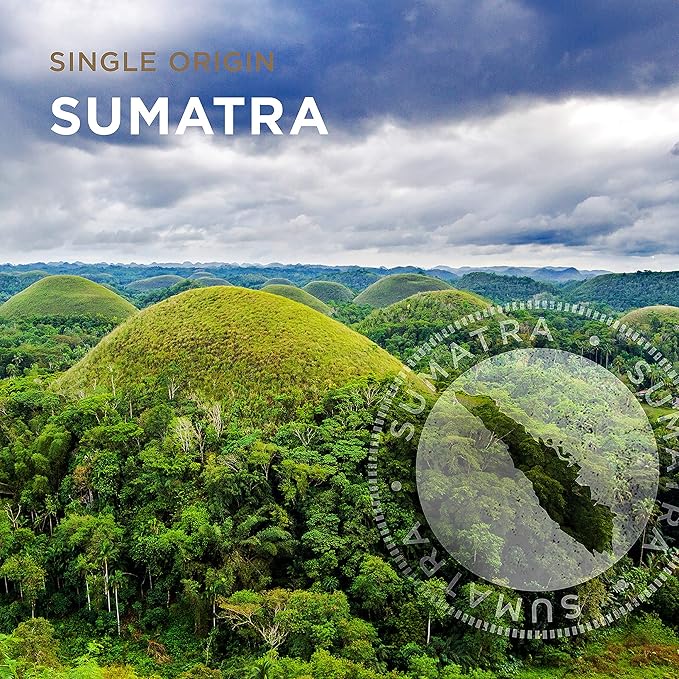 Peet's Coffee, Dark Roast Single Serve Coffee Pods - Single Origin Sumatra 32 Count (1 Box of 32 Pods)