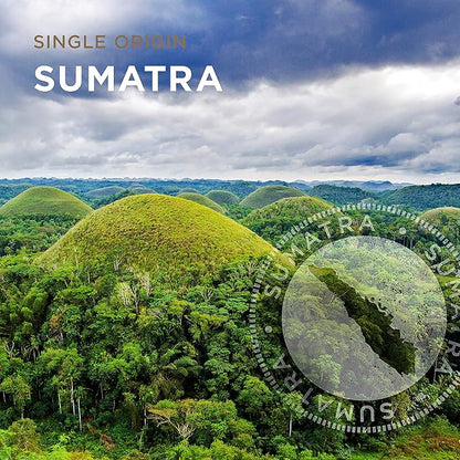 Peet's Coffee, Dark Roast Single Serve Coffee Pods - Single Origin Sumatra 32 Count (1 Box of 32 Pods)